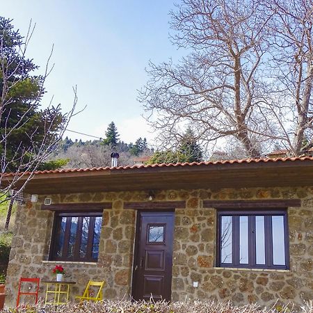 فيلا Γήλοφος أنو تريكالا المظهر الخارجي الصورة
