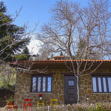 فيلا Γήλοφος أنو تريكالا المظهر الخارجي الصورة